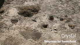  Presentation with live - Presentation enhanced with gopher-hole-gopher-holes and a coral colored foreground