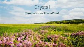  Presentation with green earth - Presentation theme consisting of gorgeous-fresh-green-pasture background and a sky blue colored foreground