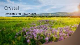  Presentation with green earth - Slide deck having gorgeous-fresh-green-pasture background and a light blue colored foreground