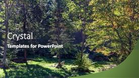  Presentation with eco park - Theme featuring gorgeous-gray-wolf background and a wine colored foreground