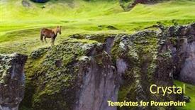  Presentation with eco - PPT theme with gorgeous-icelandic-horse-grazes background and a tawny brown colored foreground