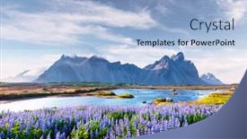  Presentation with blooming flower animated - PPT layouts having gorgeous-landscape-with-blooming-lupine background and a light blue colored foreground
