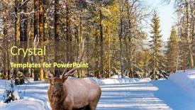  Presentation with road - Amazing slide deck having gorgeous-red-deer backdrop and a tawny brown colored foreground