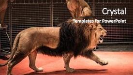  Presentation with lion king - Slide set with shadow icon for game web background and a lemonade colored foreground