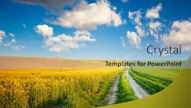  Presentation with agrarian - Slides having gorgeous-summer-meadow-with-yellow background and a light blue colored foreground