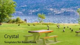  Presentation with british columbia canada - PPT layouts featuring gorgeous view at okanagan background and a gold colored foreground