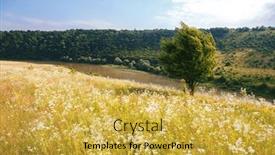  Presentation with nature river - PPT layouts enhanced with gorgeous-view-of-a-blooming background and a yellow colored foreground