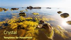  Presentation with inspiring - Slides featuring gorgeous-view-of-the-black background and a tawny brown colored foreground