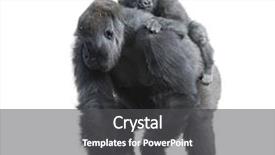  Presentation with baby - Cool new theme with ape - gorilla female with her baby backdrop and a dark gray colored foreground