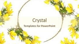  Presentation with border flower - Cool new theme with gorse flower abstract circular design forming a border over white background backdrop and a cream colored foreground