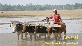  Presentation with plowing - 