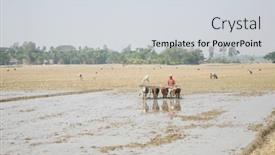  Presentation with plowing - 