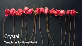  Presentation with roses - PPT layouts enhanced with goth style dry roses black background and a  colored foreground