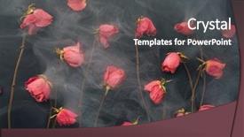  Presentation with red roses rose garden - PPT layouts with goth style dry roses black background and a  colored foreground