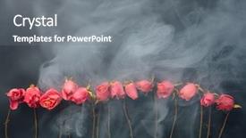  Presentation with war roses tudor rose - Slides with goth style dry roses black background and a  colored foreground