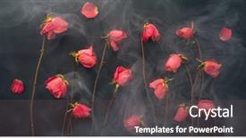  Presentation with roses - Slide deck with design breath - goth style dry roses black background and a violet colored foreground