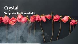  Presentation with war roses tudor rose - Slide deck having goth style dry roses black background and a  colored foreground
