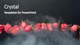  Presentation with red roses rose garden - Cool new slides with goth style dry roses black backdrop and a  colored foreground