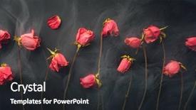  Presentation with roses - PPT layouts having goth style dry roses black background and a dark gray colored foreground