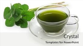  Presentation with ayurveda - Presentation theme having gotu kola asiatic pennywort centella background and a soft green colored foreground