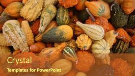  Presentation with colorful - Slide deck enhanced with gourds-a-collection-of-colorful background and a red colored foreground