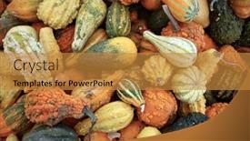  Presentation with colorful - Slide set consisting of gourds-a-collection-of-colorful background and a gold colored foreground