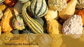  Presentation with market - Theme with gourds various types sizes and varieties of gourds for sale at a farmers market colorful gourds for sale background and a gold colored foreground