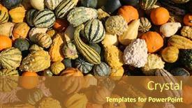  Presentation with market - Slides having gourds various types sizes and varieties of gourds for sale at a farmers market colorful gourds for sale background and a tawny brown colored foreground