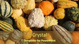  Presentation with market - PPT layouts featuring gourds various types sizes and varieties of gourds for sale at a farmers market colorful gourds for sale background and a tawny brown colored foreground