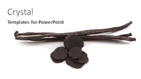  Presentation with french beans - Colorful slide deck enhanced with gourmet food madagascar vanilla beans and french black truffles backdrop and a white colored foreground