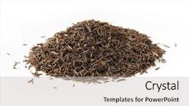  Presentation with cumin - PPT layouts enhanced with gourmet pakistan - whole black cumin seeds isolated background and a light gray colored foreground