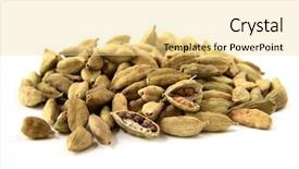  Presentation with soybean seed soy field seeding - Colorful slides enhanced with gourmet pakistan - whole cardamon seeds isolated backdrop and a blonde colored foreground