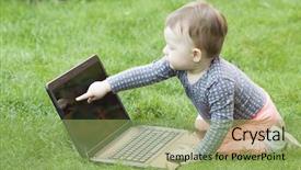  Presentation with cyber stalking computer laptop suffering - Audience pleasing theme consisting of king penguin returning from the sea to the sandy coast during windy conditions and huge waves backdrop and a lemonade colored foreground