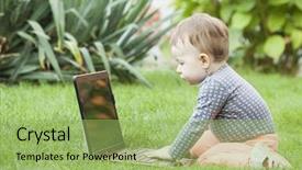  Presentation with baby - Theme enhanced with blue morph arctic fox standing background and a light gray colored foreground.