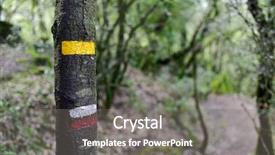  Presentation with path - Slide deck consisting of gr - yellow mark for a local background and a gray colored foreground