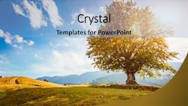  Presentation with tree farm - Presentation theme enhanced with gradiant color - bright rolling countryside background and a light blue colored foreground