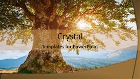  Presentation with tree farm - PPT theme having gradiant color - bright rolling countryside background and a gold colored foreground