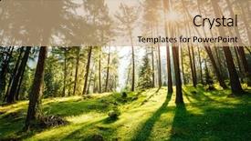  Presentation with forest fairy - Beautiful PPT layouts featuring gradiant color - magical woods in the morning backdrop and a coral colored foreground