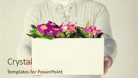  Presentation with tropical flowers close up - Colorful slides enhanced with graft - close up of man holding backdrop and a cream colored foreground