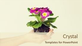  Presentation with cross and holding hands - PPT theme having graft - close up of woman's hands background and a cream colored foreground