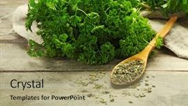  Presentation with wooden - Beautiful presentation theme featuring graft - fresh and dries parsley backdrop and a mint green colored foreground