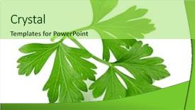  Presentation with fresh water splash green apple isolated white - Presentation design enhanced with graft - fresh parsley isolated on white background and a yellow colored foreground