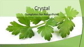  Presentation with fresh water splash green apple isolated white - Slides having graft - fresh parsley isolated on white background and a yellow colored foreground