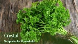  Presentation with sliced fresh papaya on wooden - Colorful slide deck enhanced with graft - fresh parsley on wooden background backdrop and a forest green colored foreground