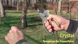  Presentation with gardening - Slide deck with graft - gardening work in spring time background and a tawny brown colored foreground