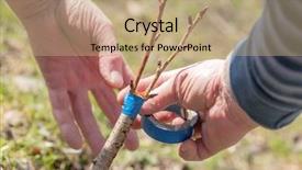  Presentation with gardening - Slide deck with graft - gardening work in spring time background and a coral colored foreground