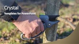  Presentation with spring tree - Cool new slide deck with graft - metal secateur in gardener hands backdrop and a tawny brown colored foreground