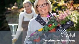  Presentation with container gardening - PPT layouts having ellora caves near aurangabad maharashtra state in india background and a coral colored foreground