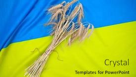  Presentation with export - PPT layouts with grain-harvest-ukrainian-flag-ears background and a yellow colored foreground