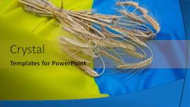  Presentation with export - Presentation featuring grain-harvest-ukrainian-flag-ears background and a gold colored foreground